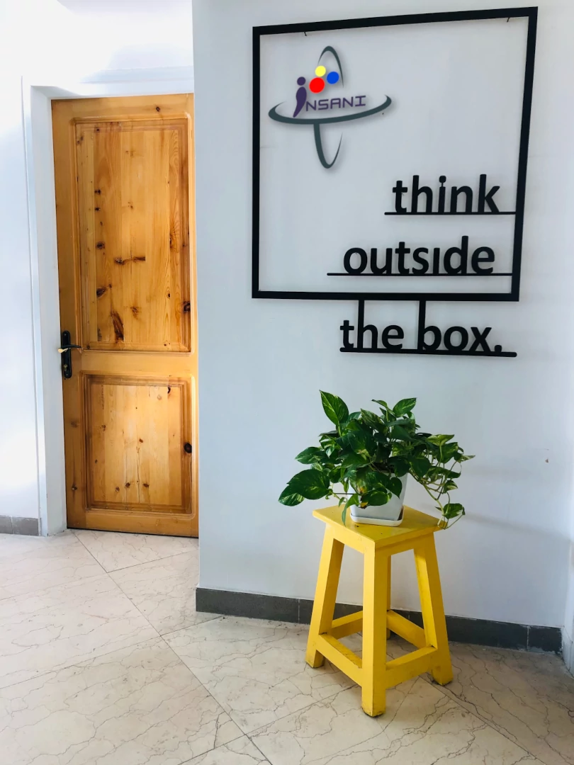 About Insani Solutions